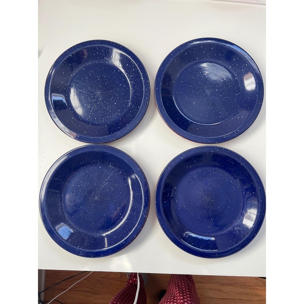 Vintage Set of 4 Blue Redβ Ceramic Plates Rustic Western Dining